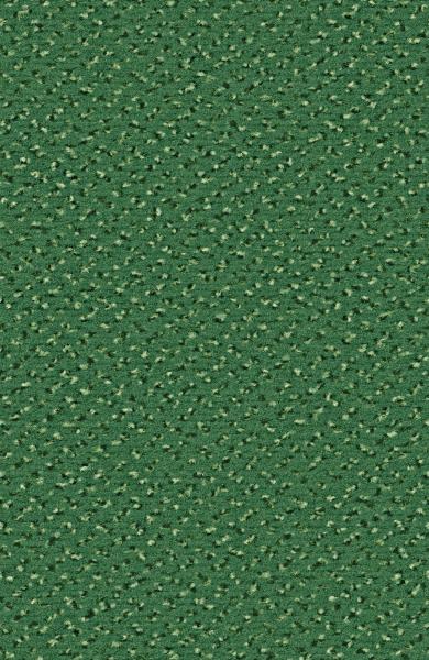 Rechteckbild vom Alexis